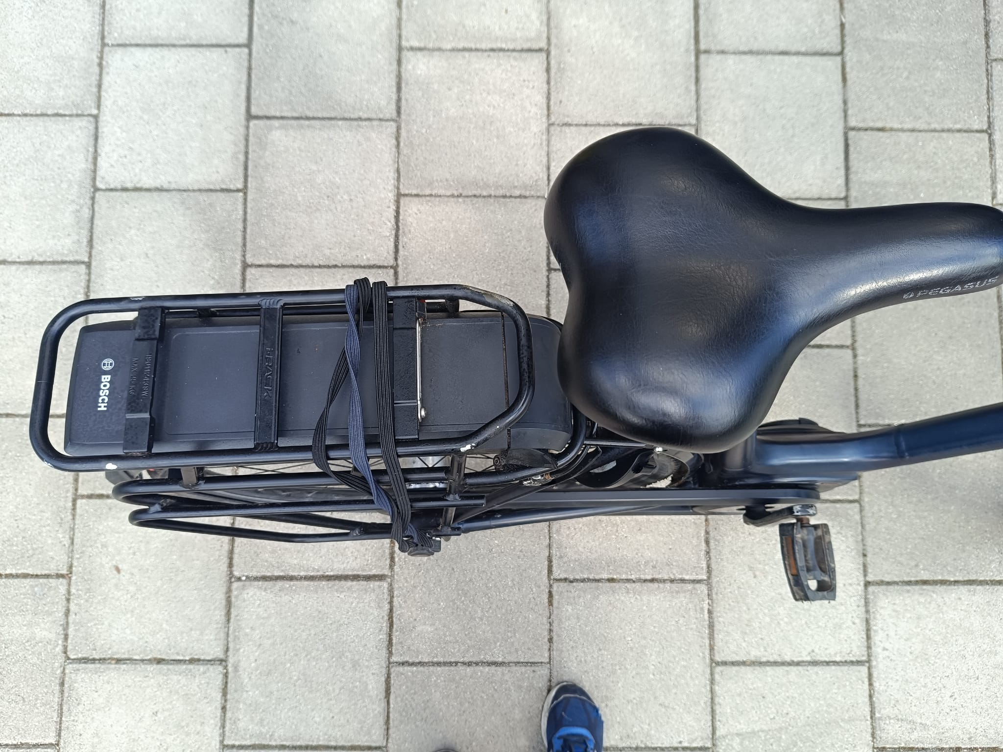 Pegasus Siena E-Bike Bosh Middenmotor