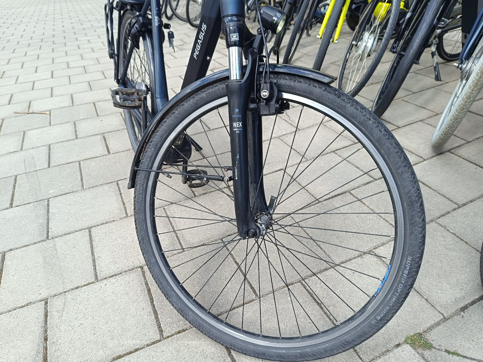 Pegasus Siena E-Bike Bosh Middenmotor