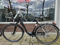 Sparta Emotion C-3 Gewoon