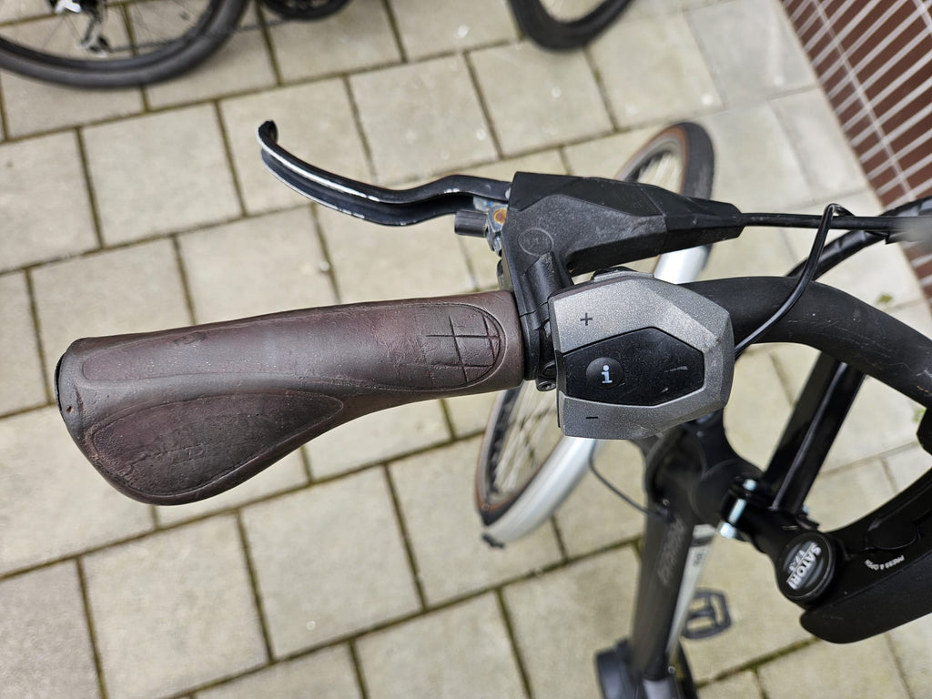 Pegasus E7F Siena E-Bike Bosch Middenmotor