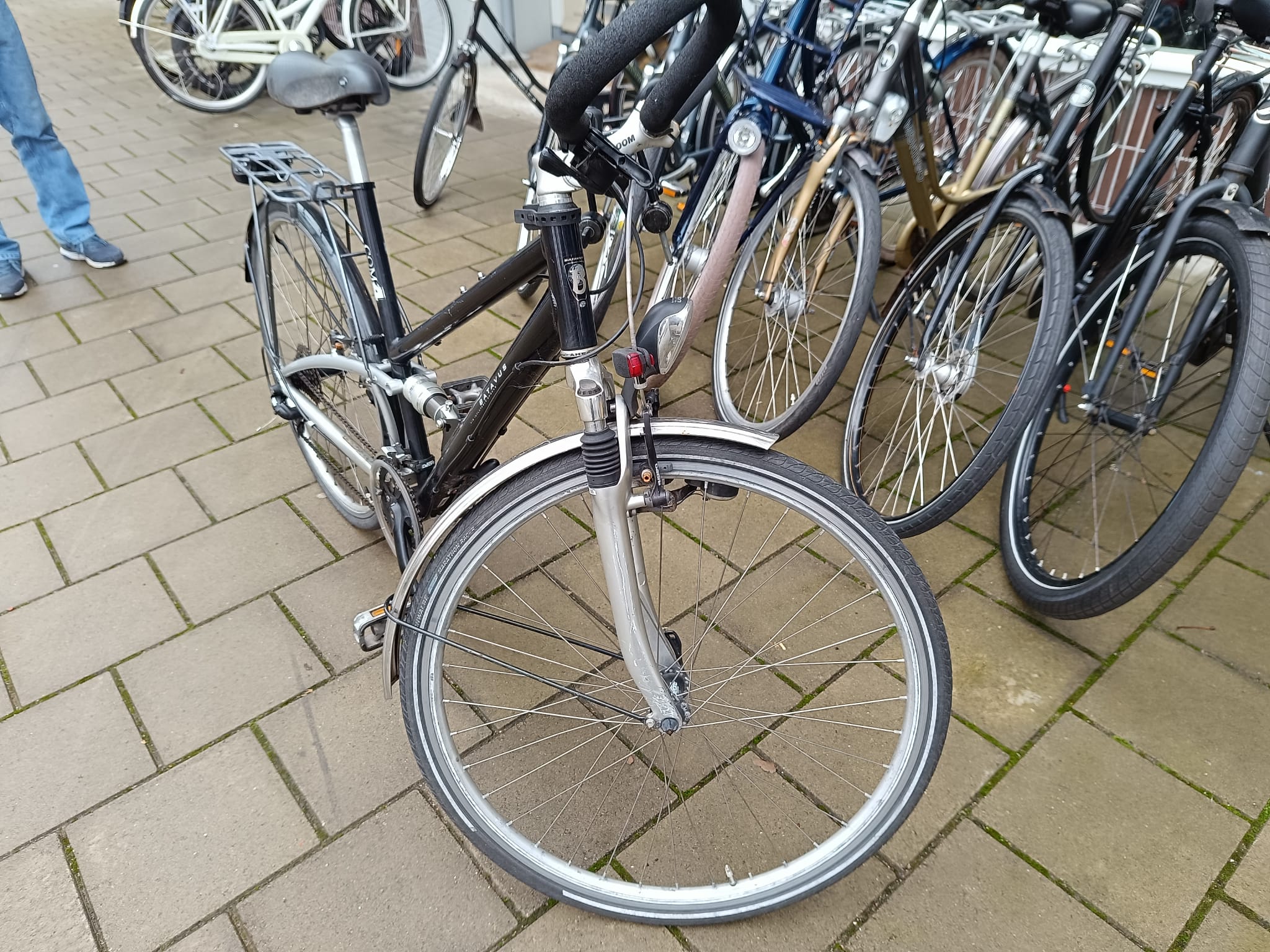 Batavus Com4 Dames Gewoon