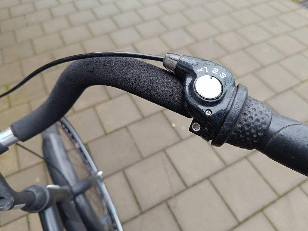 Giant Gewoon Heren