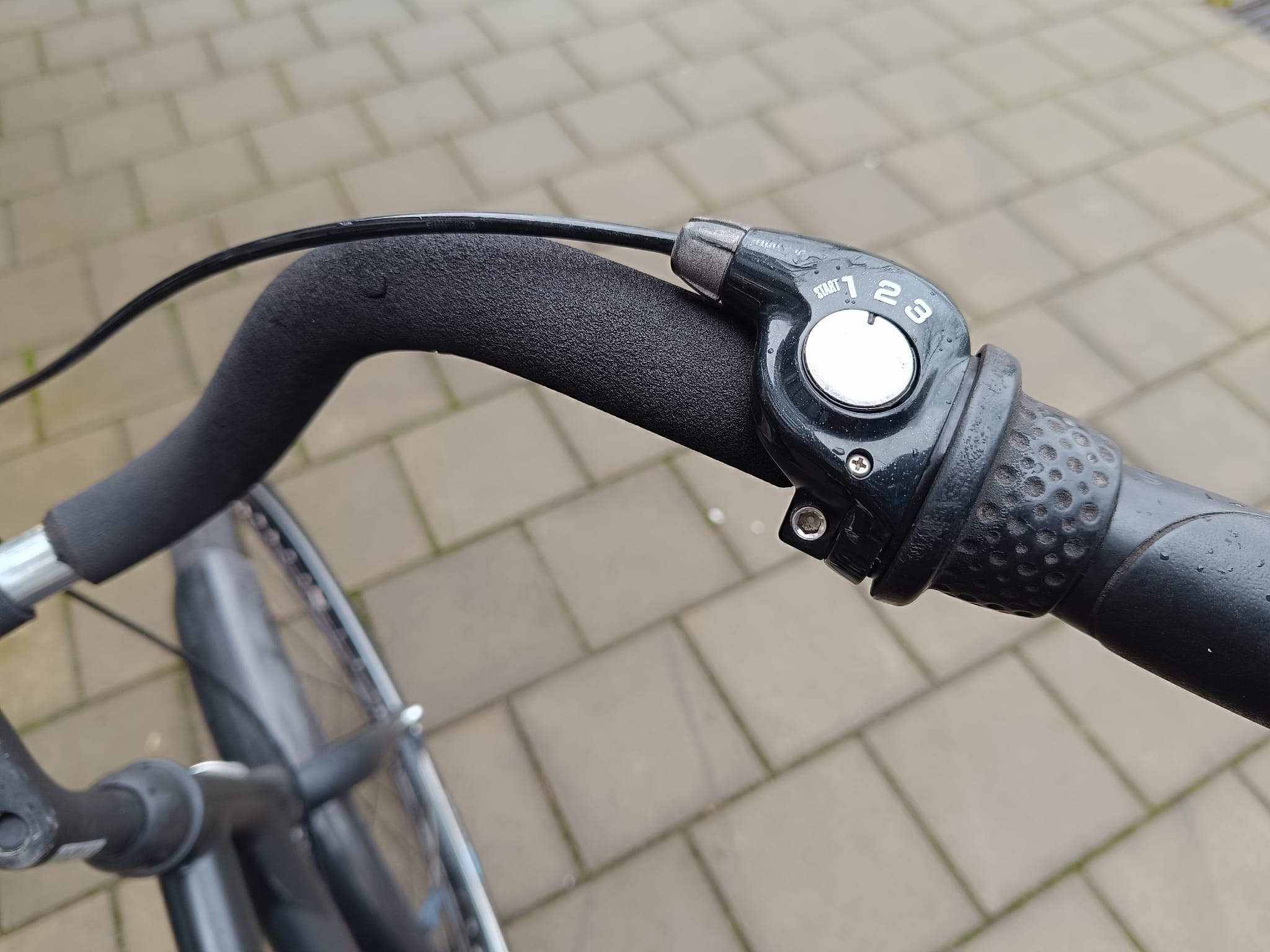 Giant Gewoon Heren