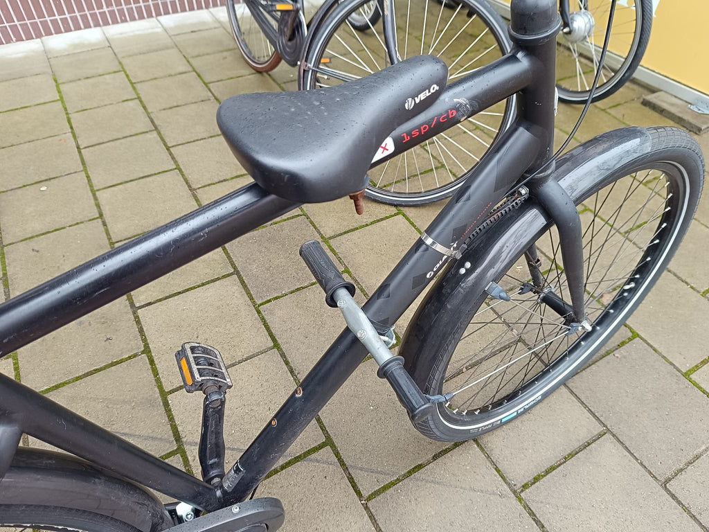 Giant Gewoon Heren
