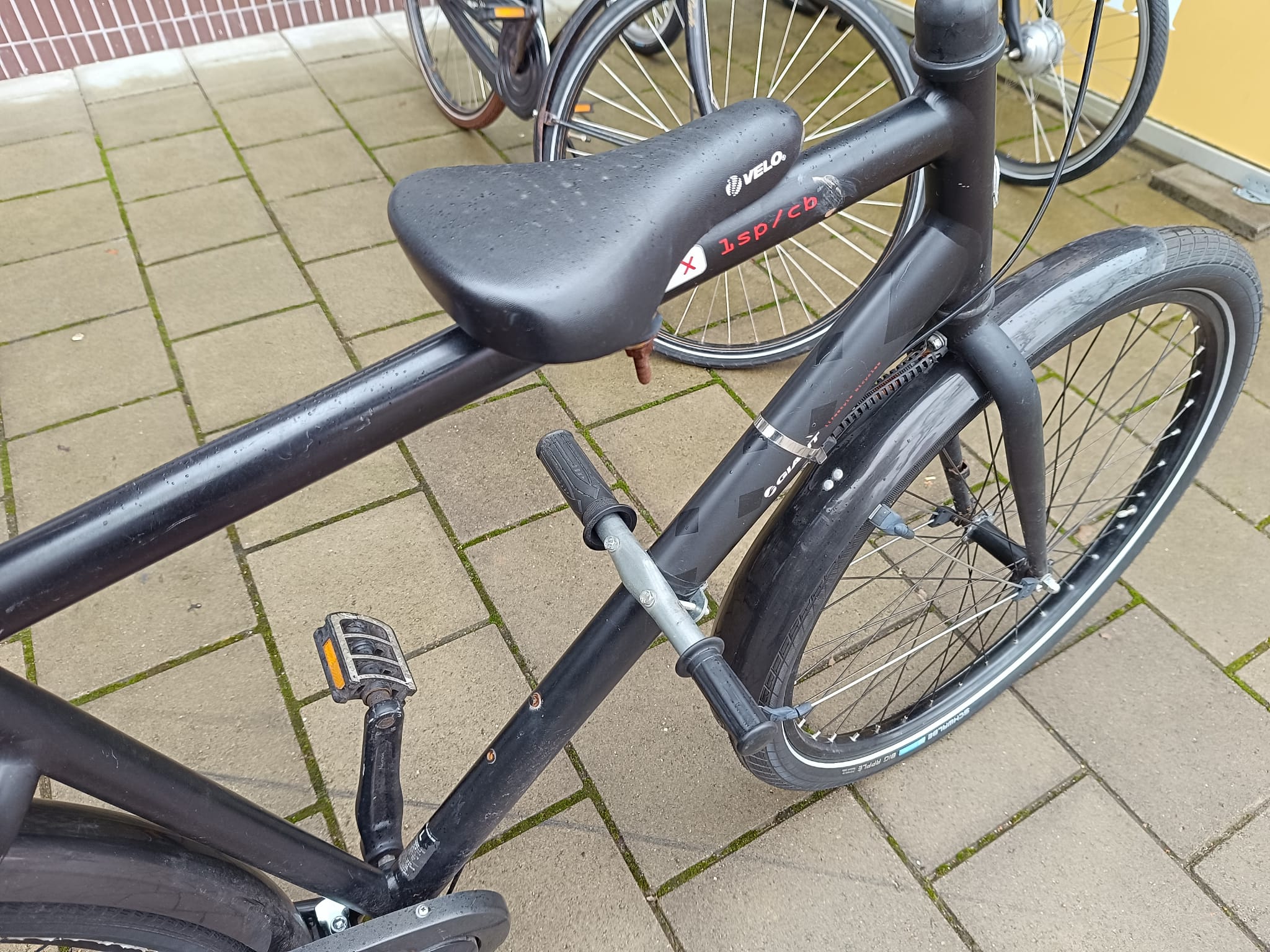 Giant Gewoon Heren