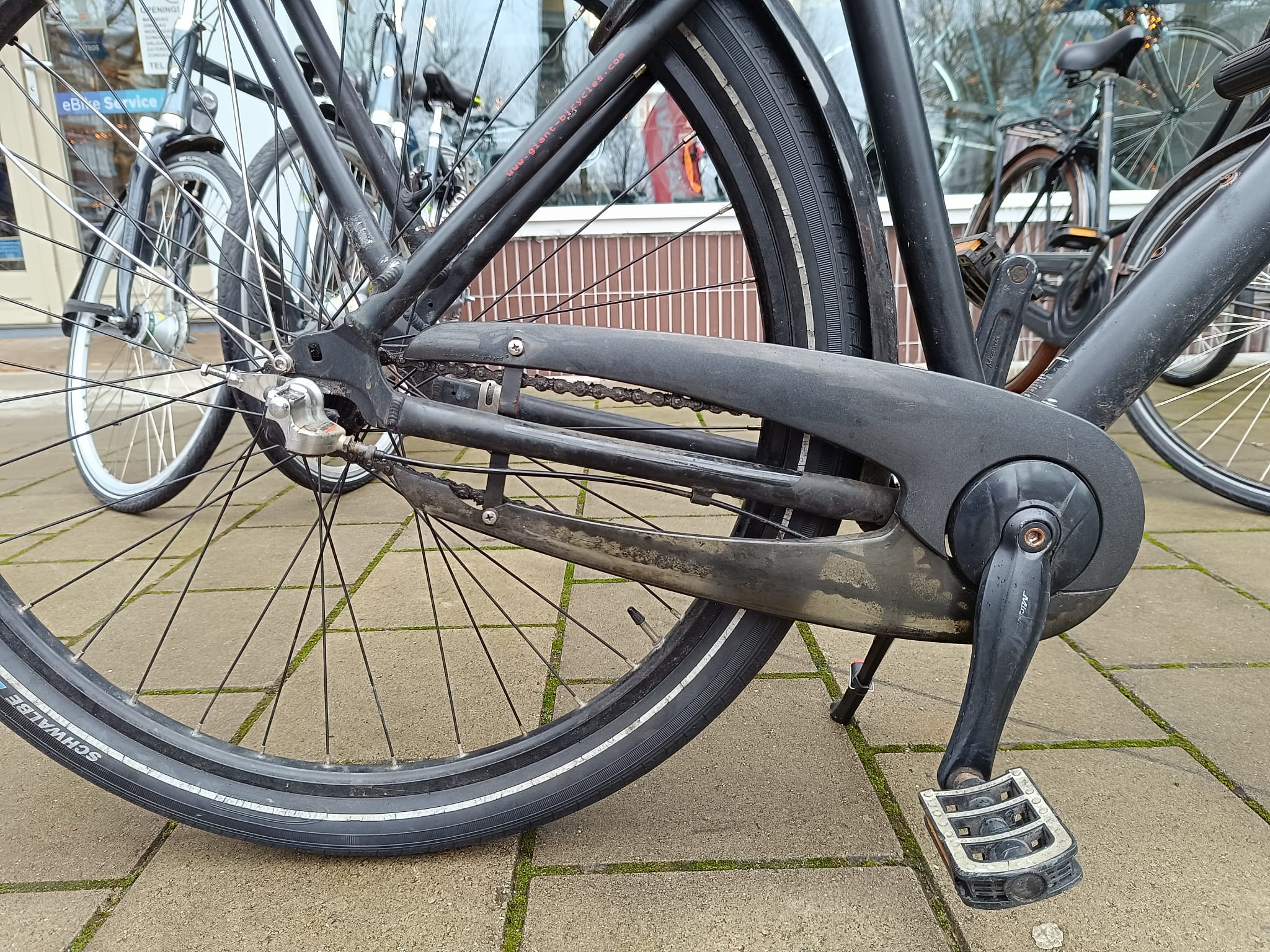Giant Gewoon Heren