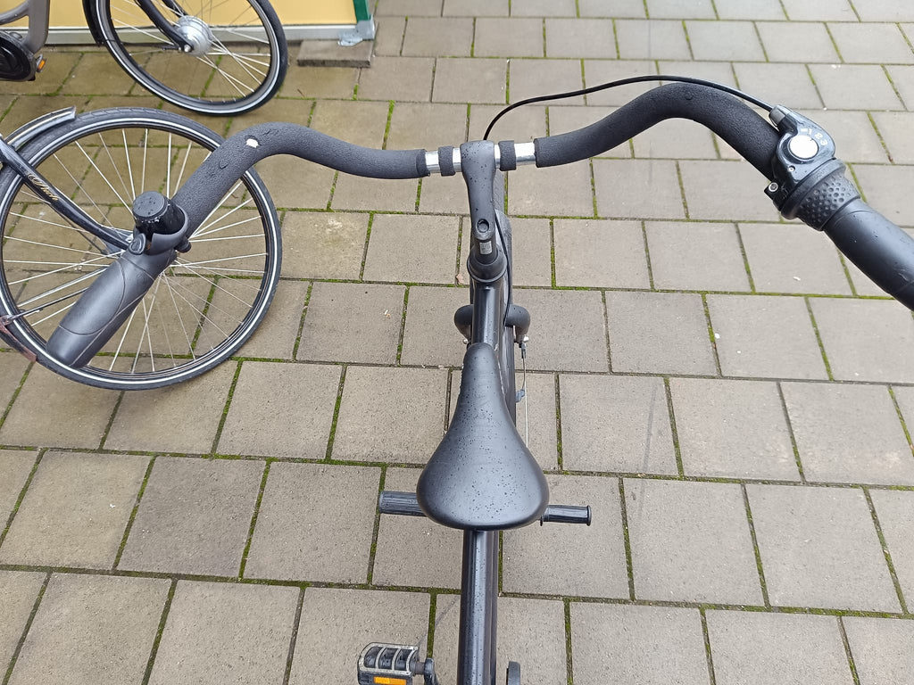 Giant Gewoon Heren