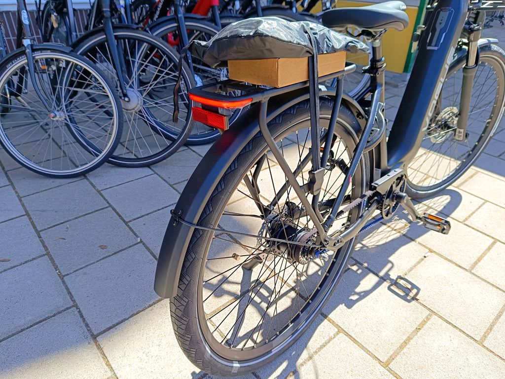 Vogue Pantheon Electrische Fiets