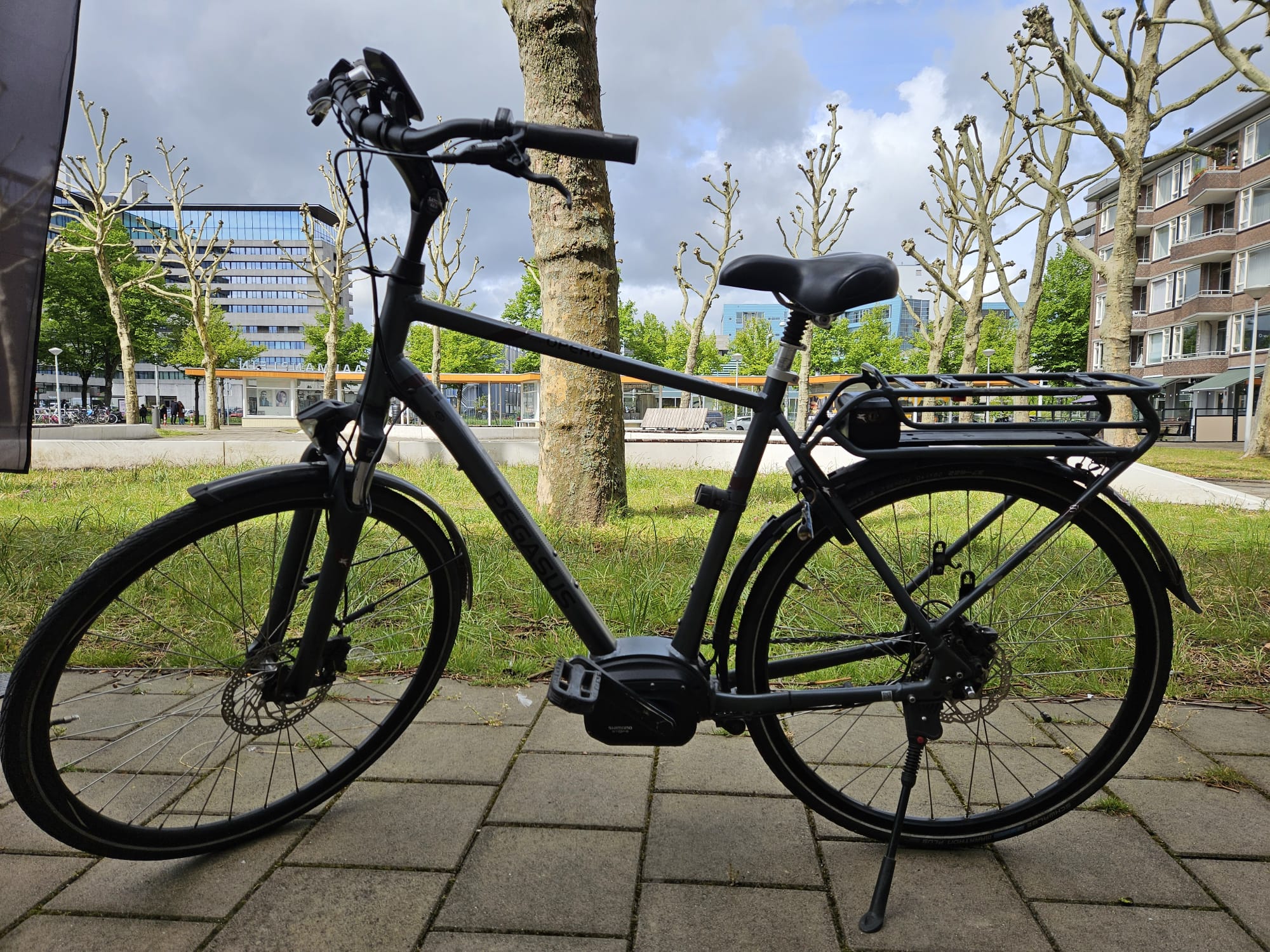 Pegasus Opera E-Bike Shimano Middenmotor Heren